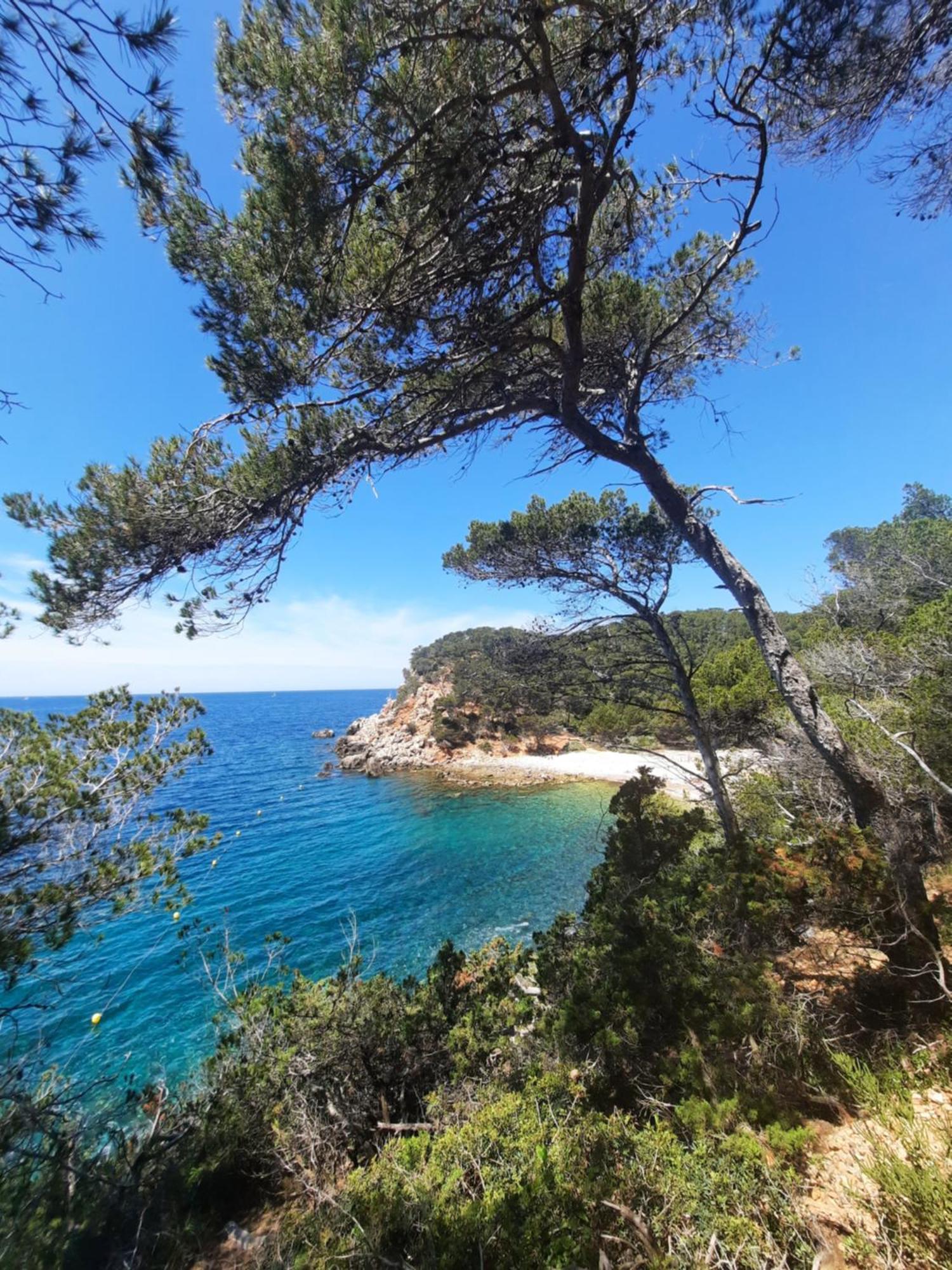 Maison Independante Avec Piscine Privative Pres De La Mer La Garde  Kültér fotó